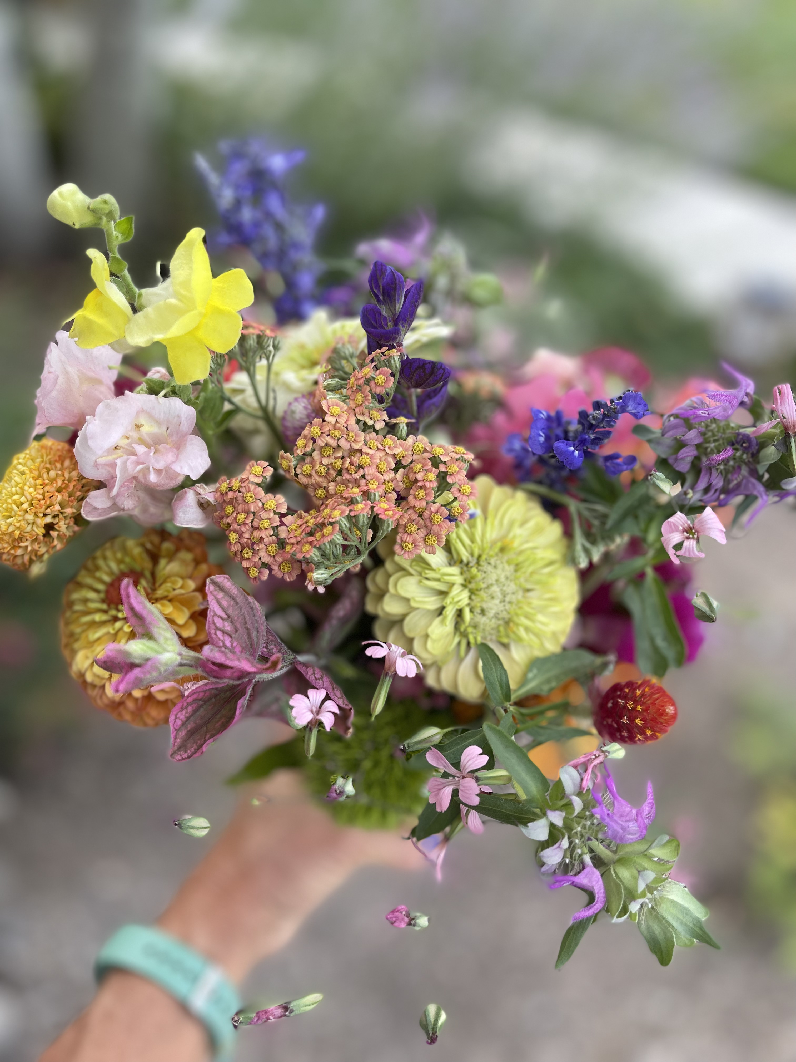 Summer bouquet — Dahlias · delphinium · stock